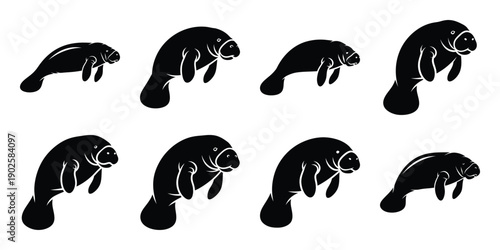 Tableau sur toile Set of silhouette manatee in various poses isolated on background