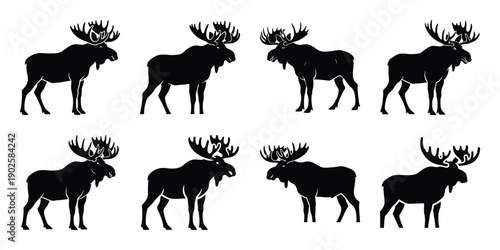 Set of silhouette moose in various poses isolated on background. Animal Vector elements for design.