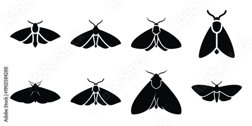 Set of silhouette moth in various poses isolated on background. Animal Vector elements for design.