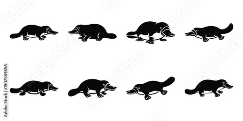 Set of silhouette platypus in various poses isolated on background. Animal Vector elements for design.