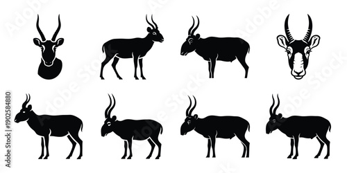 Set of silhouette saiga antelope in various poses isolated on background. Animal Vector elements for design.