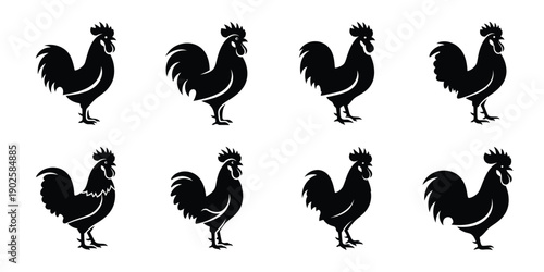 Set of silhouette rooster in various poses isolated on background. Animal Vector elements for design.