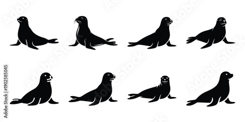 Set of silhouette seal in various poses isolated on background. Animal Vector elements for design.