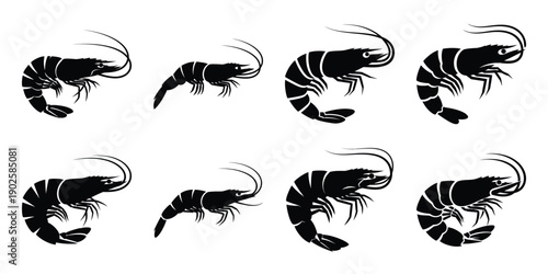 Set of silhouette shrimp in various poses isolated on background. Animal Vector elements for design.