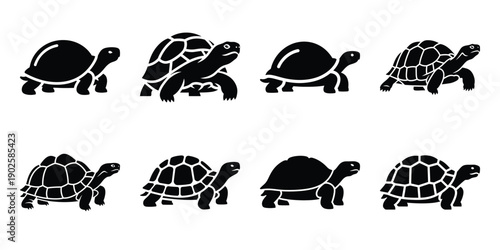 Set of silhouette tortoise in various poses isolated on background. Animal Vector elements for design.