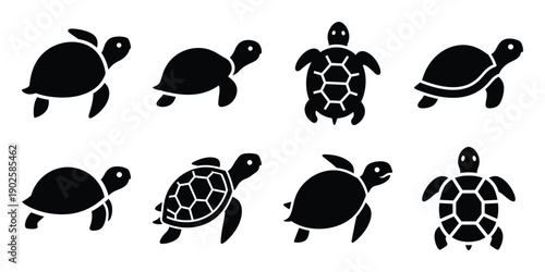 Set of silhouette turtle in various poses isolated on background. Animal Vector elements for design.