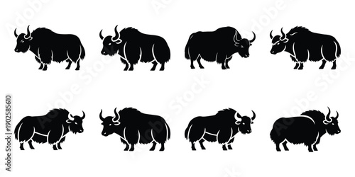 Set of silhouette yak in various poses isolated on background. Animal Vector elements for design.