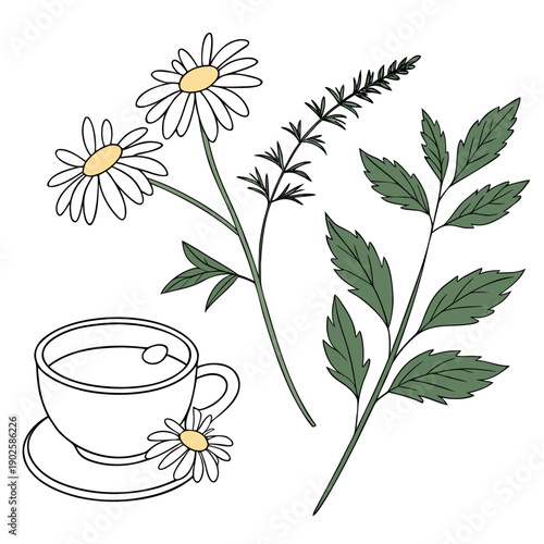 Herbal tea with chamomile flowers and leaves 1