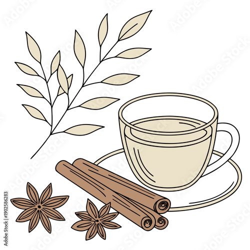 Herbal tea concept with cinnamon sticks star anise and leaves
