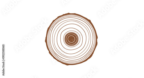 Top View of a Detailed Wood Slice with Rings.