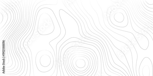 White minimalist background enhanced by detailed topographic contour curves and terrain inspired lines