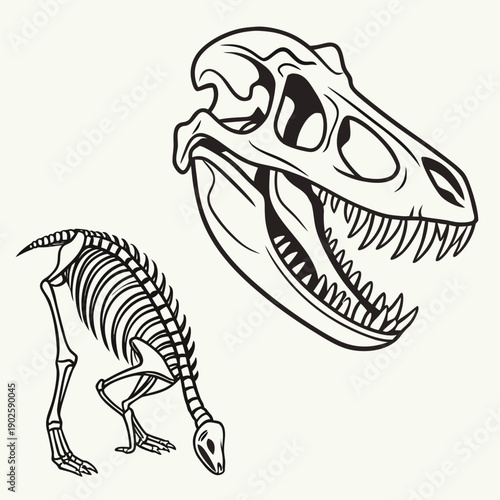 Black and white of tyrannosaurus rex skeleton and skull