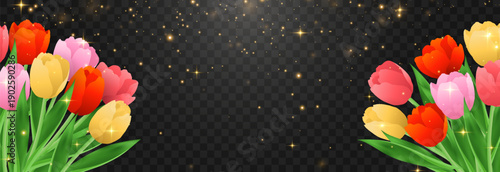 Vector spring tulips png. Colorful tulip flowers and plant isolated on transparent background. Vector spring floral banner and nature design for World Women's and Mother's Day celebration