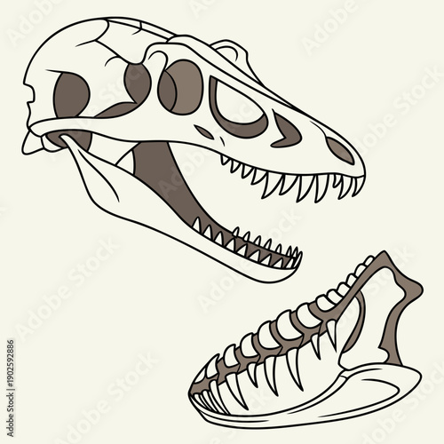 Of dinosaur jawbone fossil and skull archaeology
