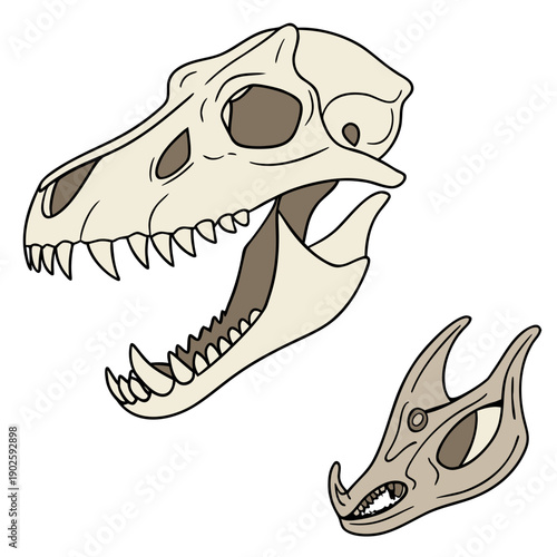 Of two dinosaur skulls side by side paleontology ancient animals
