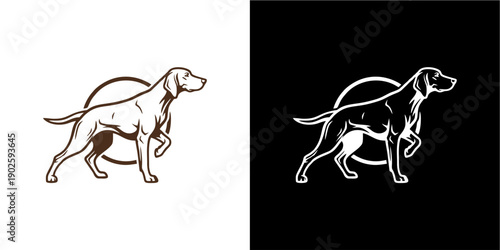 Elegant Silhouette of a Germa...