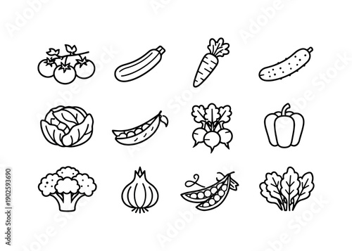 Seasonal Vegetables. Line icon set of Seasonal Vegetables: tomato vine, zucchini, carrot, cucumber, cabbage head, green bean pod, radish