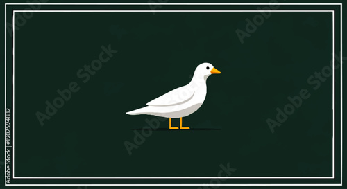 White Seagull Standing on Green Background.