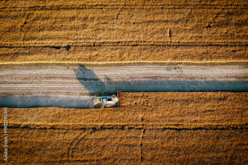 Aerial View of Combine Harvester Working in Wheat Field During Harvest