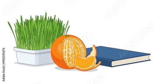 Hand-Drawn Vector Still Life: Peeled Orange, Wheatgrass Pot, and Blue Book. Health, Reading, and Natural Wellness Concept Illustration.
