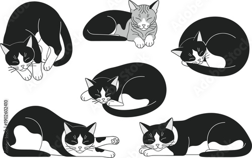 Adorable black and white tuxedo cat vector set featuring cute kittens in various relaxed sleeping and curling poses.