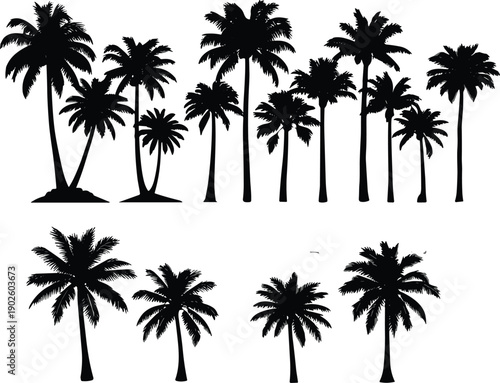 Palm tree silhouette illustration set featuring diverse shapes, trunks, and fronds for tropical design, beach scenery, vacation themes, nature projects, and creative graphics