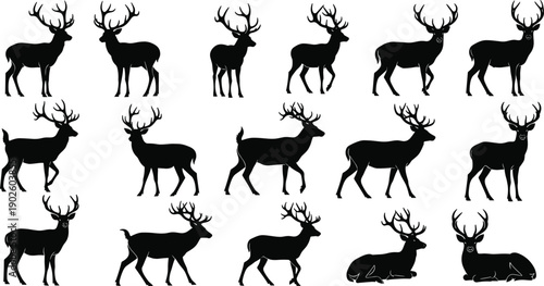 Deer silhouette illustration set featuring antlers, standing, walking, and lying poses for wildlife, forest, nature, animal anatomy, conservation, hunting, and creative projects