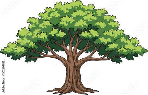 Large green oak tree vector illustration with lush canopy and thick brown trunk isolated on white background for environmental concepts, nature designs, and landscape art.