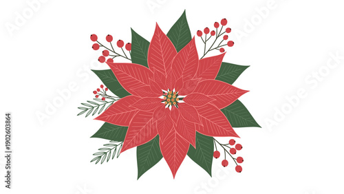 Large red poinsettia blossom with berries and evergreen sprigs serves as a centerpiece illustration for classic Christmas designs.