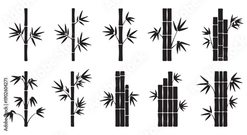 Collection of black silhouettes of bamboo stalks with leaves on Transparent Background, various styles and compositions.