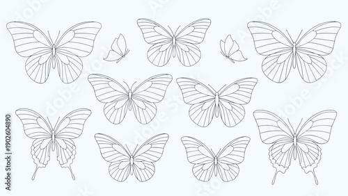 Collection of various butterfly shapes and species in delicate dashed-line art for decorative projects and crafts.