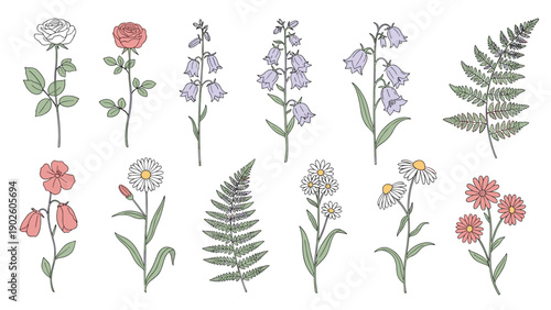 Collection of various delicate wildflowers and fern leaves in soft pastel colors arranged as individual botanical illustrations.
