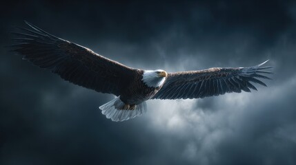 An American bald eagle soaring through time portals carrying the Constitution in its talons, glowing freedom energy, 8k, realistic, full ultra HD, high resolution, cinematic photography