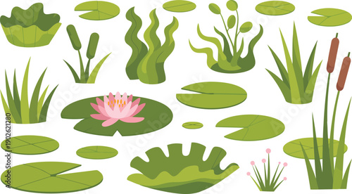 A diverse collection of cartoon aquatic plants and water lily flowers on a clear white background