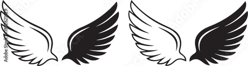 A pair of symmetrical black and white angel wings on a plain background