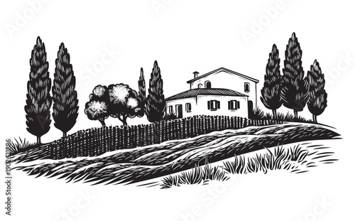 old house in the vineyard