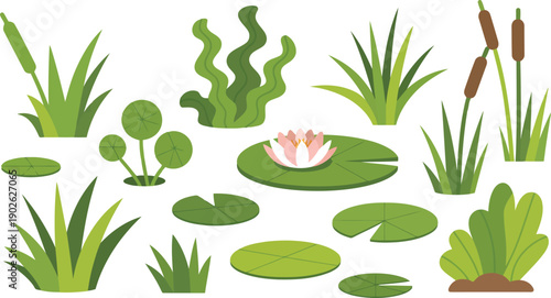 A variety of green water plants including blooming water lilies and distinct cattail reeds