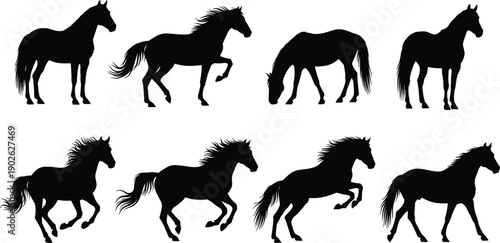 Set of black horse silhouettes in various poses including running galloping standing and trotting for equestrian sports ranching and wild animal nature vector design (25 words)