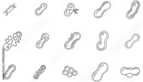 Collection of various bacteria and germ outlines on a white background