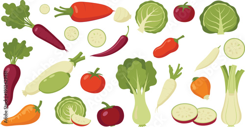 Flat Vegetable Illustration Set with Root and Leafy Produce Including Carrots, Beets, Cabbage, Cucumbers, Tomatoes, and Radishes for Healthy Food Design