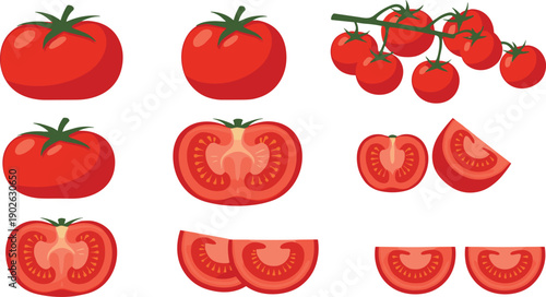 Fresh Tomato Illustration Vector Set with Whole Tomatoes Cherry Tomatoes on Vine and Sliced Tomato Halves for Healthy Food Designs