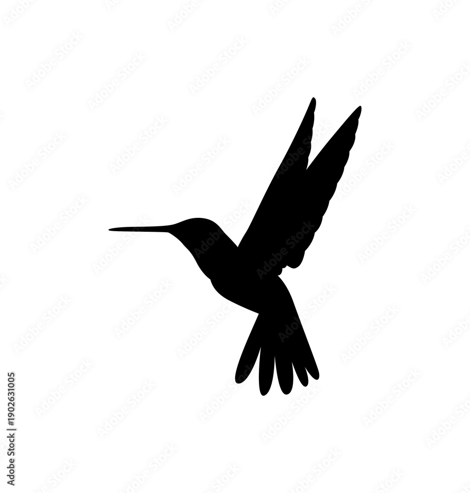 Obraz premium silhouette of birds