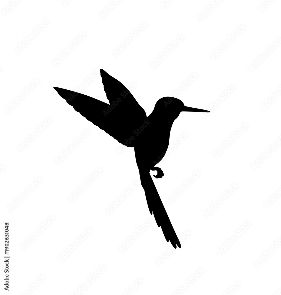 Naklejka premium silhouette of birds