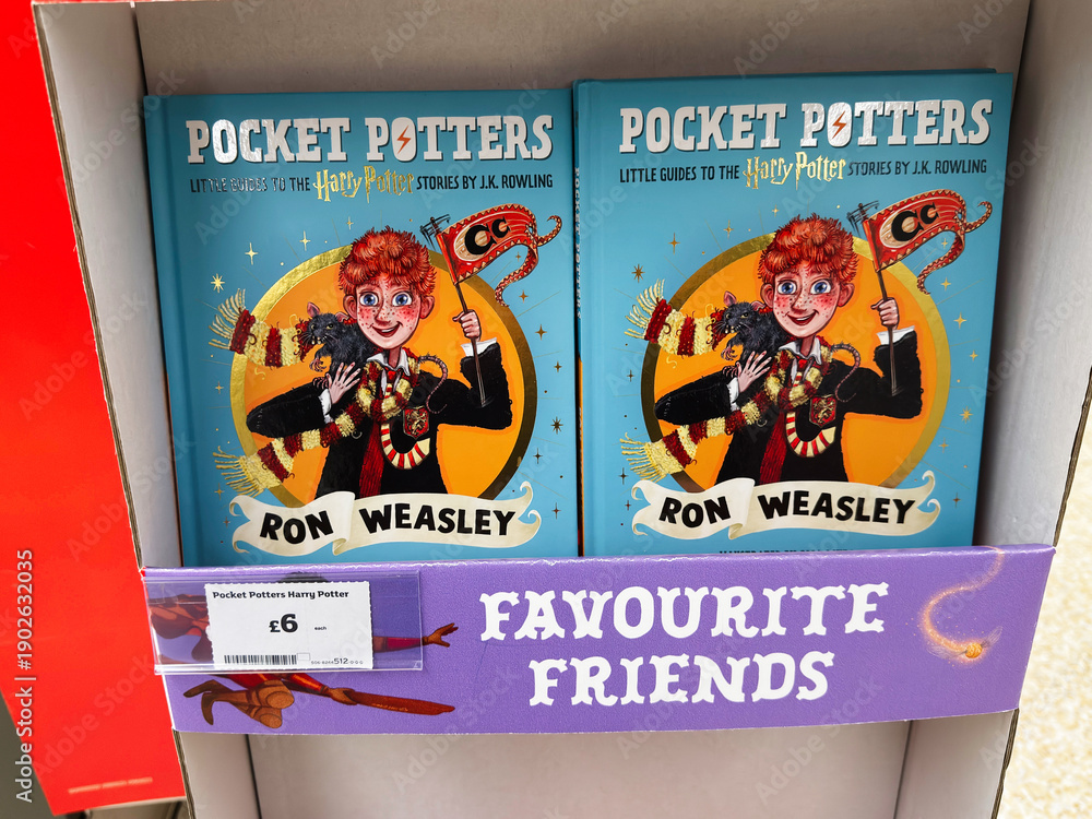 Fototapeta premium Pocket Potters two book set featuring Ron Weasley on blue covers, favourite friends display