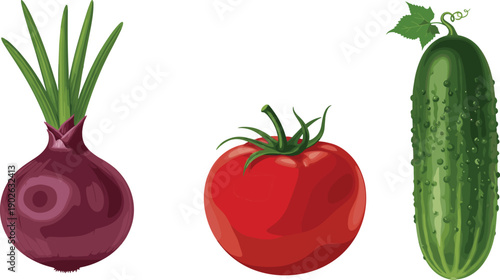 Vector illustration of fresh vegetables, red onion, tomato, cucumber with leaves, healthy food concept, organic farming design, nutrition
