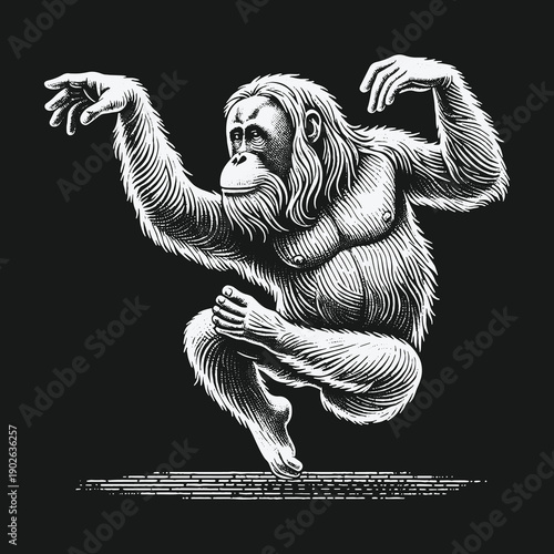 Orangutan in Mid-Air: A Detailed Engraving of Primate Agility.