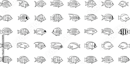 Collection of various fish illustrations in black and white