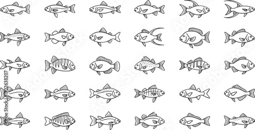 Variety of fish swimming in different directions