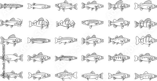 Variety of fish swimming in different directions