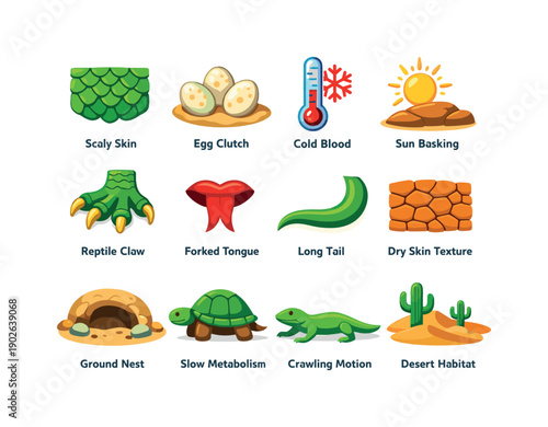 Colorful Reptile Icons. Reptile characteristics. Colorful flat vector icons set of reptile characteristics: scaly skin, egg clutch, cold blood symbol, sun